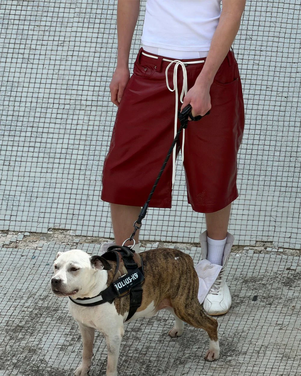 BRAVE SHORT BURGUNDY - Image 10