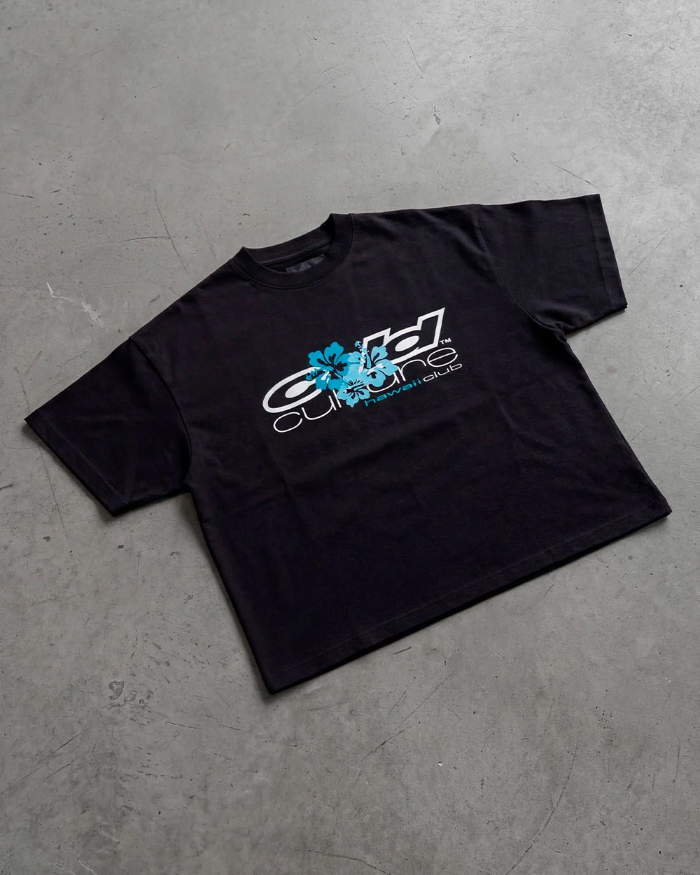 HAWAII CLUB TEE BLACK - Image 5
