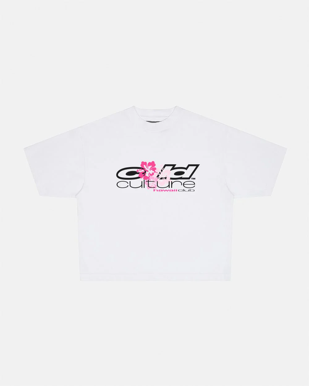 HAWAII CLUB TEE WHITE - Image 2