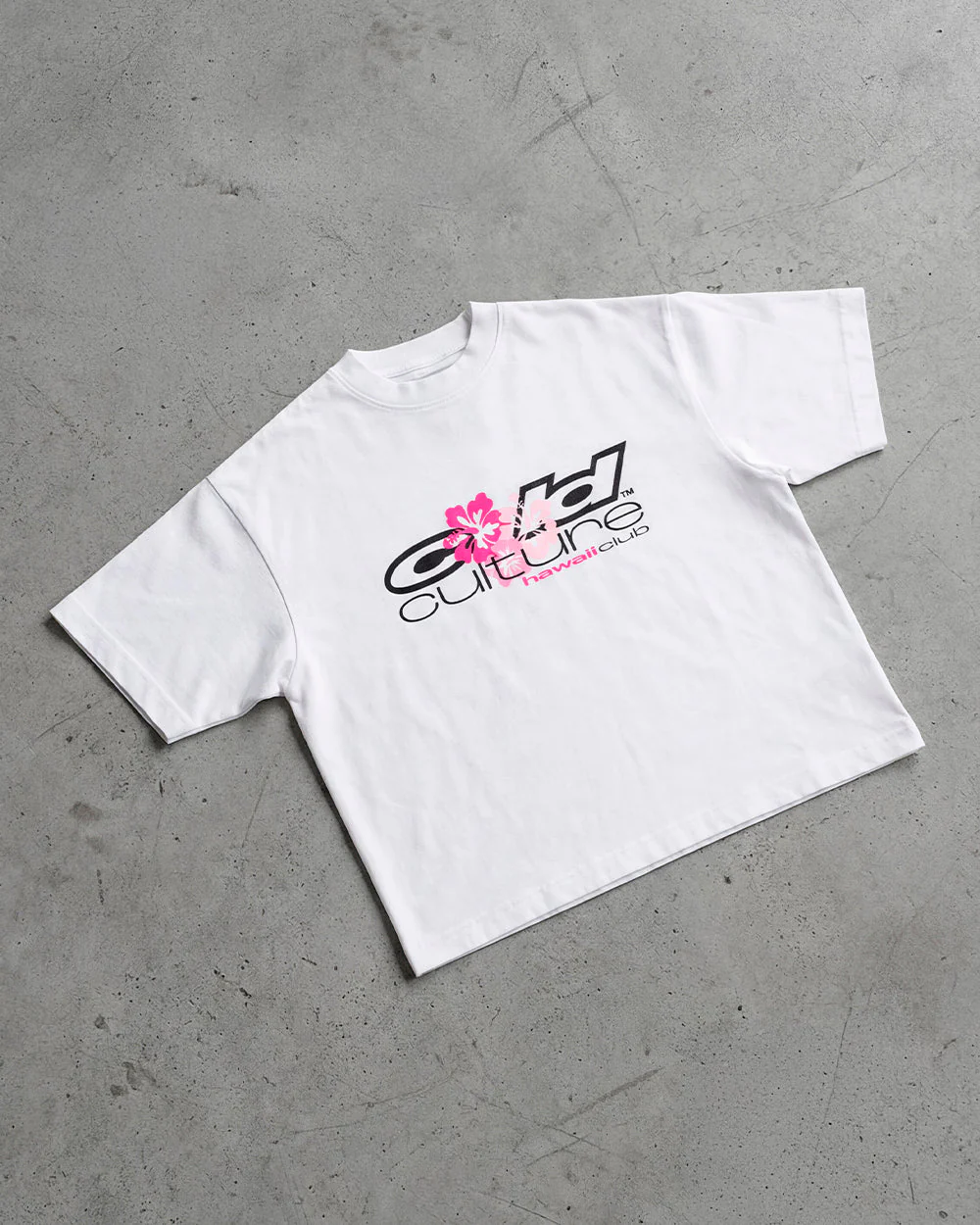HAWAII CLUB TEE WHITE - Image 6